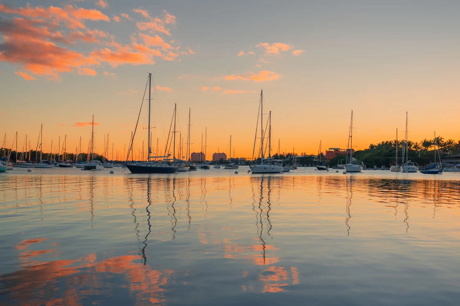 Coconut Grove by yacht: a quieter starting point for your Miami escape